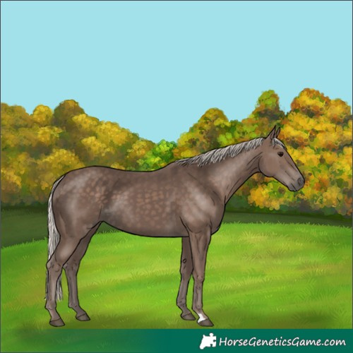 Horse Color:Silver Black 
