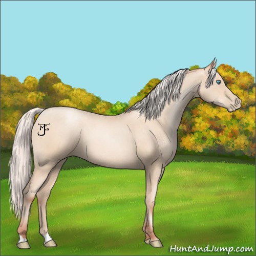 Horse Color:Silver Sable Cream Champagne Pearl 