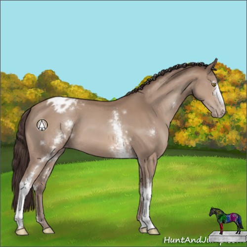 Horse Color:White Spotted Sable Champagne Appaloosa 