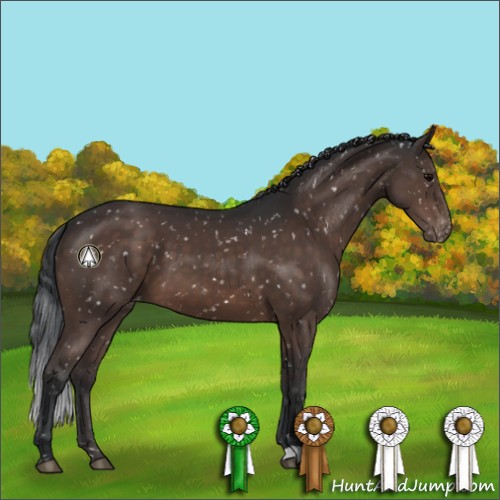 Horse Color:Brown Appaloosa 