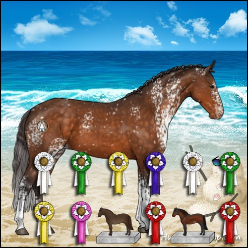 Horse Color:White Spotted Buckskin Appaloosa 