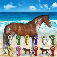 Horse Color:White Spotted Buckskin Appaloosa