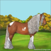 Horse Color:Silver Bay Tobiano 