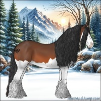 Horse Color:Bay Splash