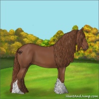 Horse Color:Chestnut Tobiano