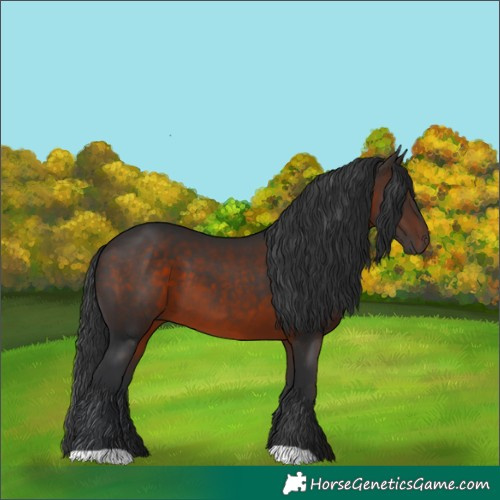 Horse Color:Brown 