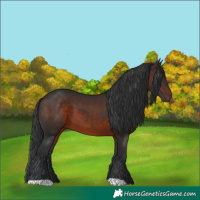 Horse Color:Brown 