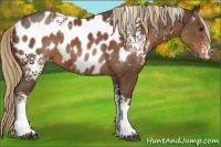 Horse Color:White Spotted Liver Chestnut Blanket 