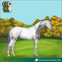 Horse Color:Grullo Tobiano Rabicano