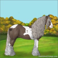 Horse Color:Silver Black Splash Tobiano 
