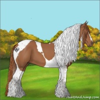Horse Color:Chestnut Tobiano