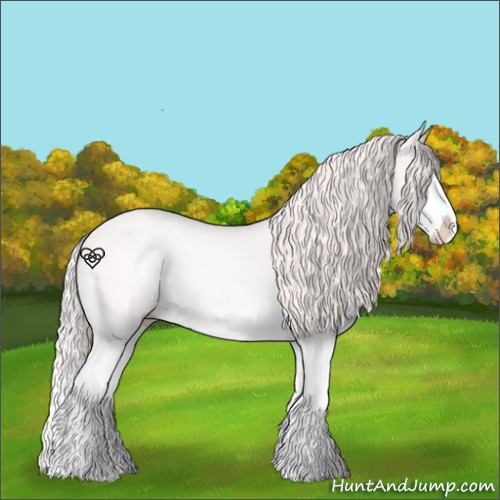 Horse Color:Perlino Splash