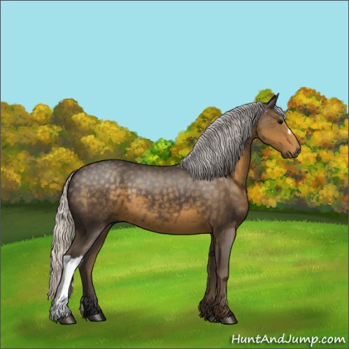 Horse Color:Silver Smoky Black 
