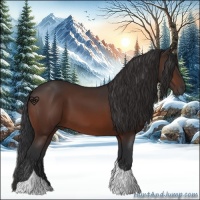 Horse Color:Brown Tobiano