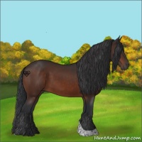 Horse Color:Brown Tobiano 