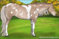 Horse Color:White Spotted Silver Black Pearl Tobiano 