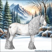 Horse Color:Bay Dun Sabino Splash 