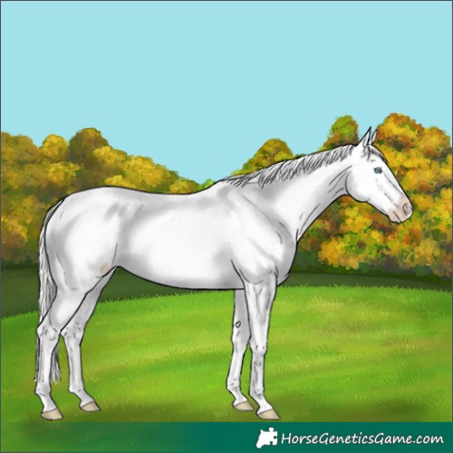 Horse Color:Silver Perlino Snowcap  and Chocolate Silver Perlino Snowcap 