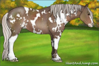 Horse Color:White Spotted Silver Black Sabino 