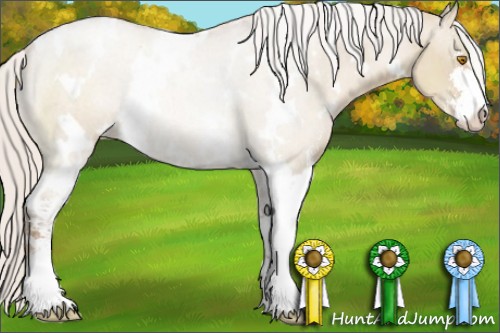 Horse Color:White Spotted Silver Grullo Pearl Sabino 