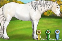 Horse Color:White Spotted Silver Grullo Pearl Sabino 