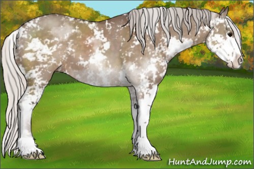 Horse Color:Silver Grullo Sabino