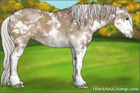 Horse Color:Silver Grullo Sabino 