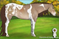 Horse Color:Liver Red Dun Sabino Tobiano Blanket