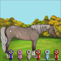 Horse Color:Silver Brown Roan Dun Tobiano 