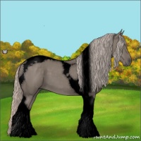 Horse Color:Void Silver Grullo Tobiano 