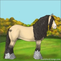 Horse Color:Buckskin Dun Splash 