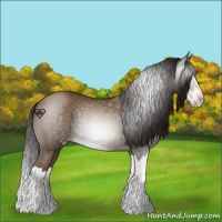 Horse Color:Gray Classic Champagne Splash 