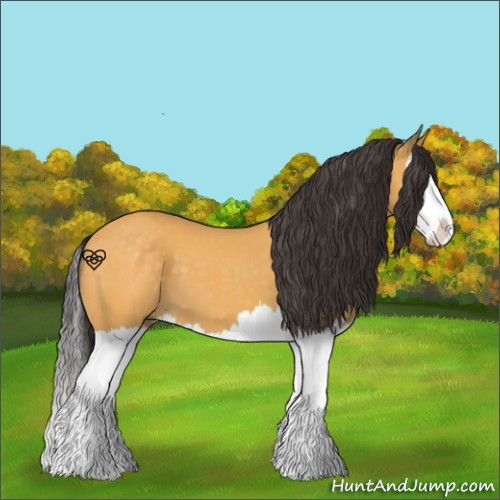 Horse Color:Buckskin Splash 