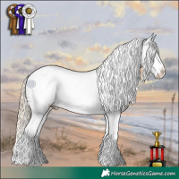 Horse Color:Gold Cream Champagne Dun Sabino Splash Appaloosa 