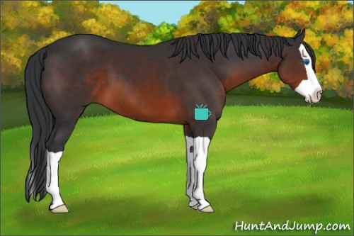 Horse Color:Brown Splash 