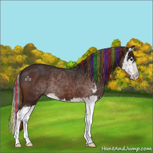Horse Color:Painted Bay Sabino Splash 