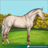 Horse Color:Silver Sable Champagne Dun Sabino