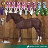 Horse Color:Chocolate Black
