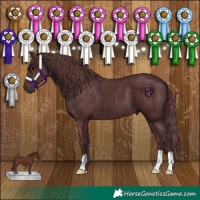 Horse Color:Chocolate Black