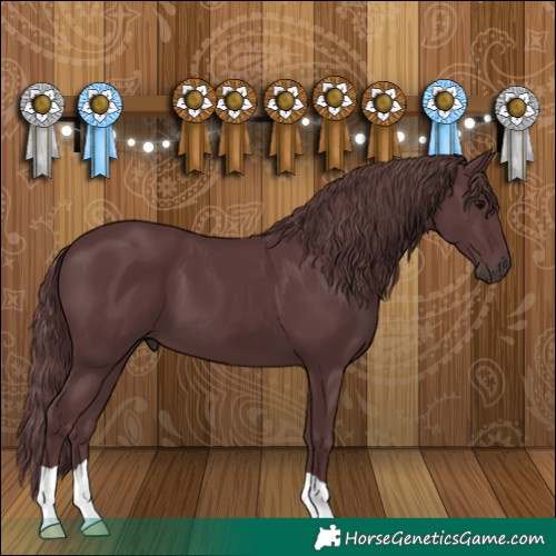 Horse Color:Chocolate Black