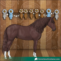 Horse Color:Chocolate Black 
