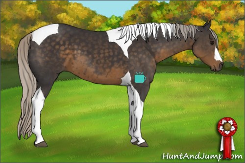 Horse Color:Silver Smoky Black Tobiano 