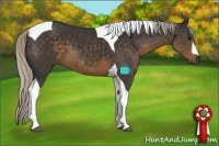 Horse Color:Silver Smoky Black Tobiano 