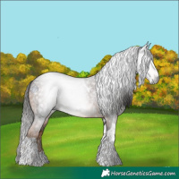 Horse Color:Gray White Spotted Liver Chestnut Tobiano 