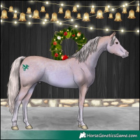 Horse Color:Watercolor Palomino 