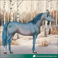 Horse Color:Watercolor Bay Sabino 