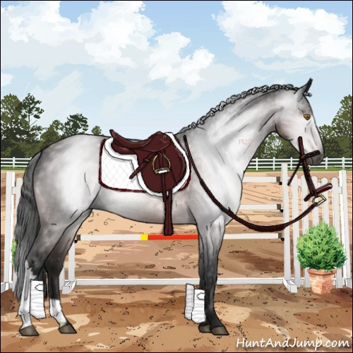Horse Color:Gray Platinum Buckskin 