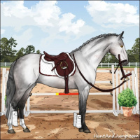 Horse Color:Gray Platinum Buckskin