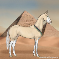 Horse Color:Silver Classic Champagne Dun Splash Frame 