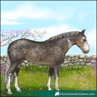 Horse Color:Silver Smoky Black Sabino 